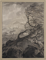 W 013
<br/>
Landschap met stroomversnelling
<br/>
<em>Nijmegen, Gerard van (1735-1808)</em>